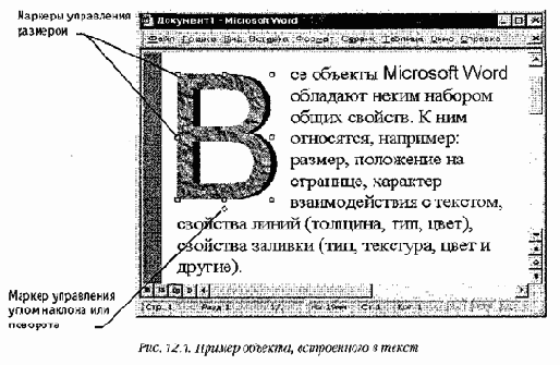    Microsoft Word