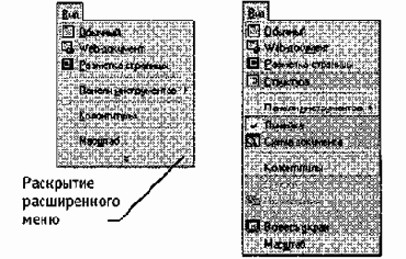      Microsoft Word